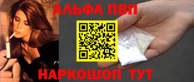 стафф Кингисепп