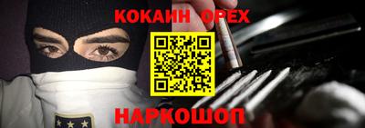 стафф Кингисепп