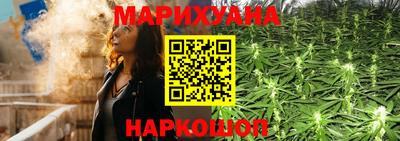 стафф Кингисепп