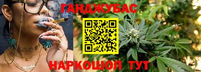 стафф Кингисепп
