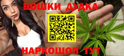 стафф Кингисепп