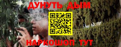 стафф Кингисепп
