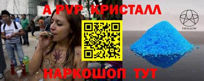 стафф Кингисепп