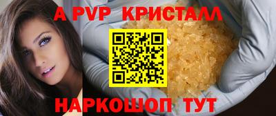 стафф Кингисепп