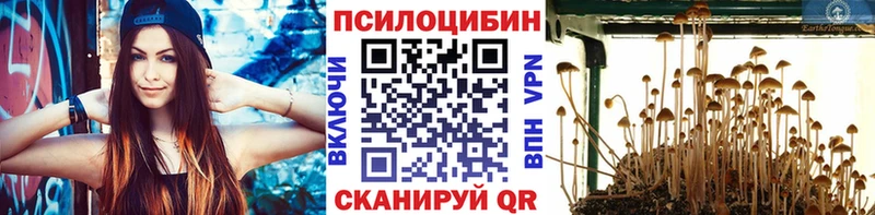 Псилоцибиновые грибы MAGIC MUSHROOMS  mega как зайти  Узловая 