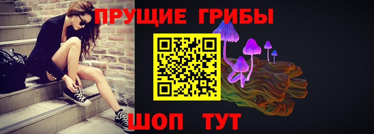 Узловая  Галлюциногенные грибы MAGIC MUSHROOMS  Вход с VPN  цена   Псилоцибиновые грибы Cubensis 